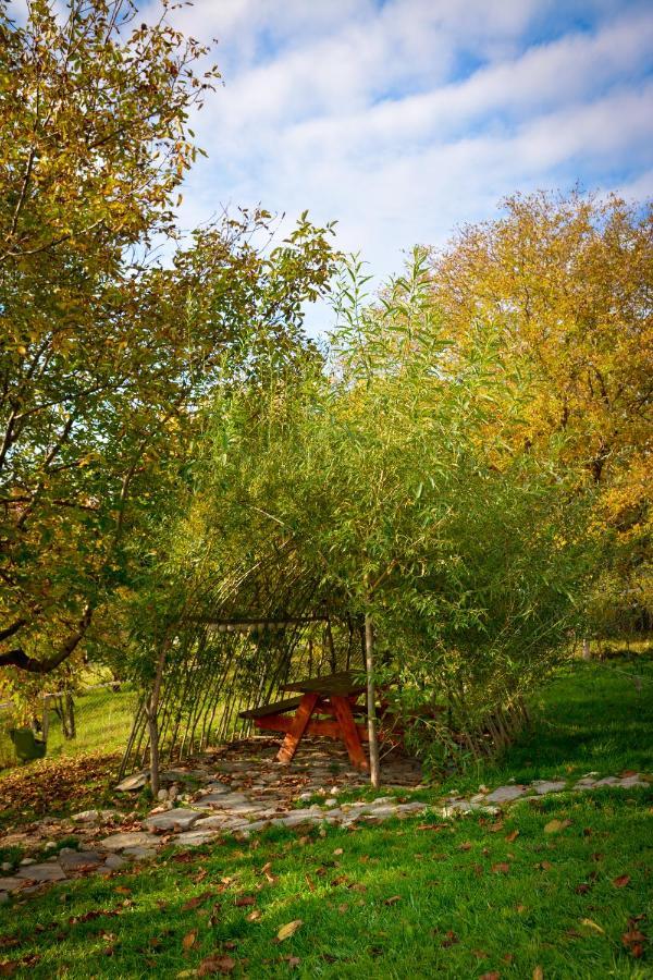Villa Casa Wezly Măgura Exterior foto