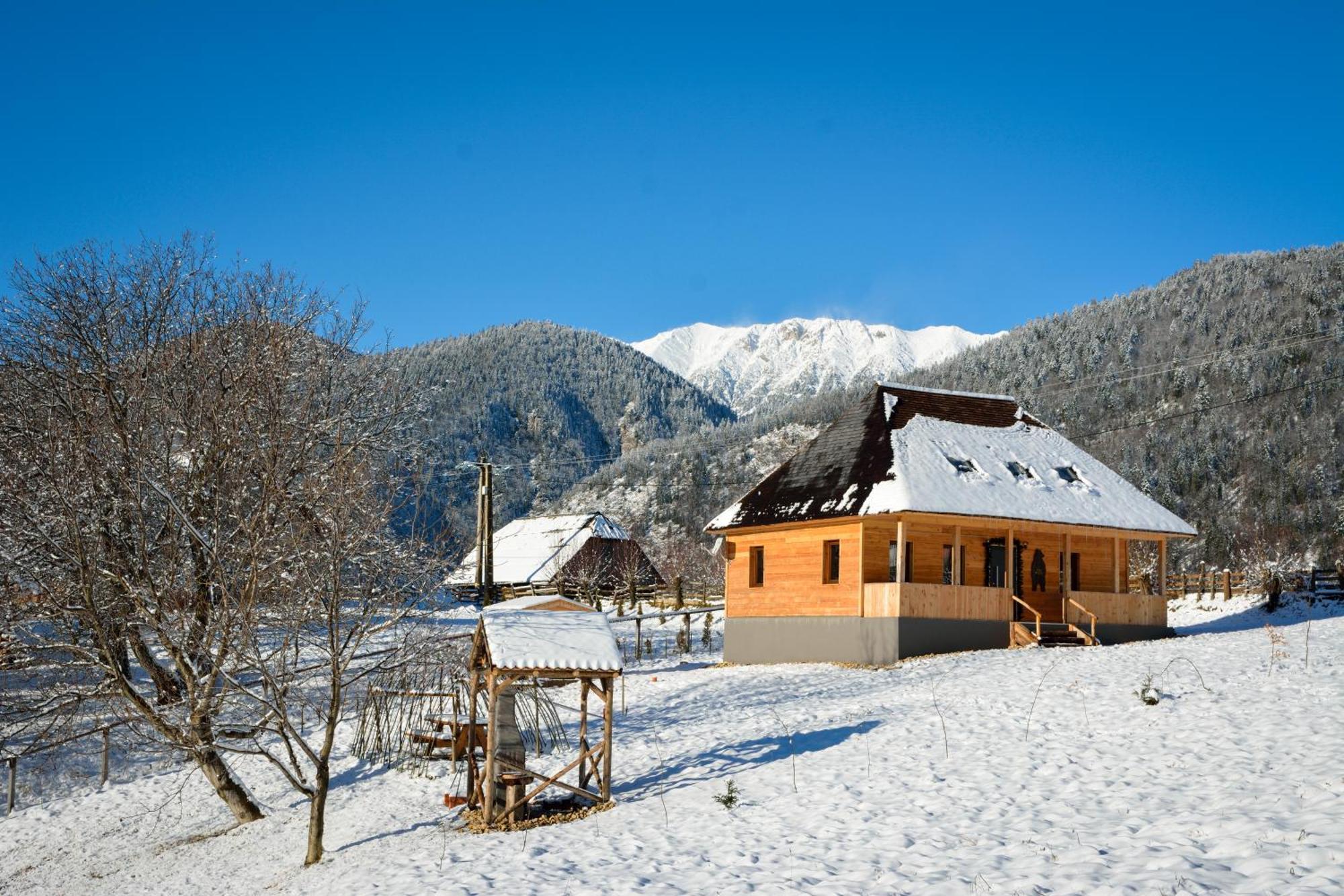 Villa Casa Wezly Măgura Exterior foto